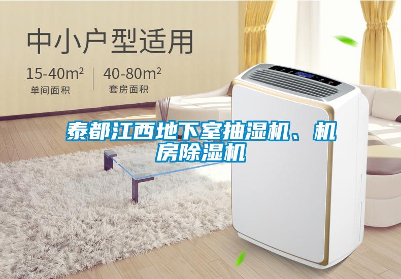 泰都江西地下室抽濕機(jī)、機(jī)房除濕機(jī)