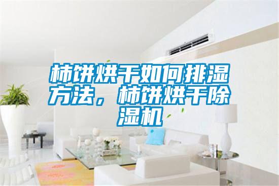 柿餅烘干如何排濕方法，柿餅烘干除濕機