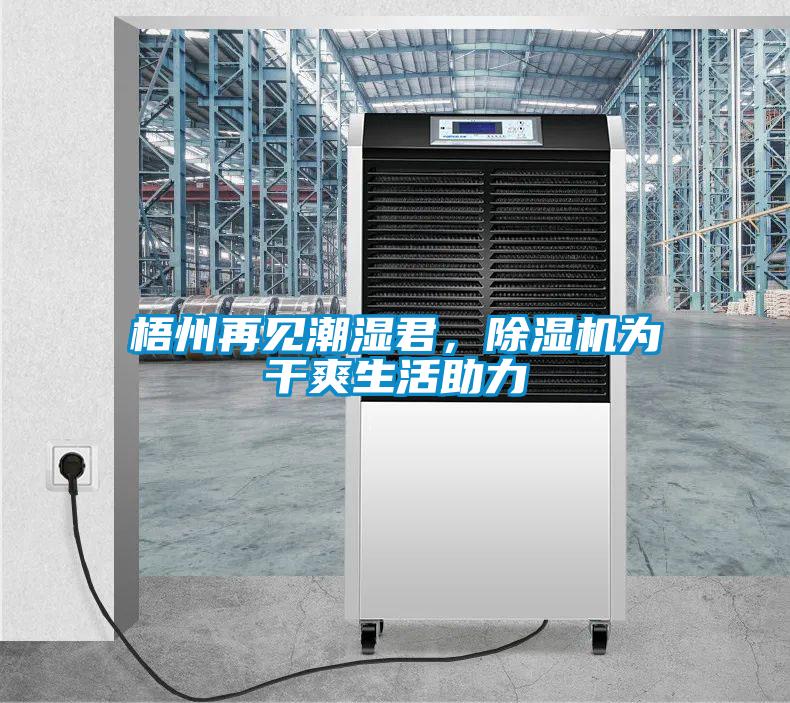 梧州再見潮濕君，除濕機為干爽生活助力