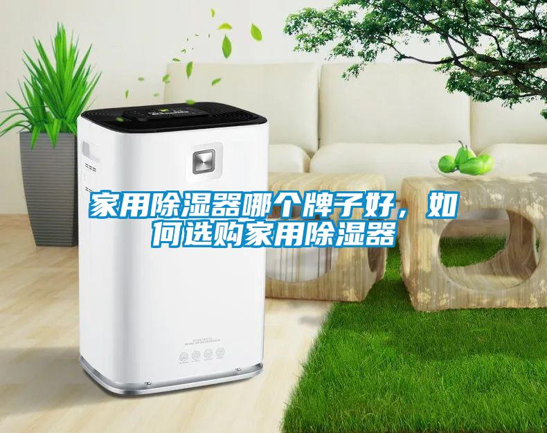 家用除濕器哪個(gè)牌子好，如何選購家用除濕器