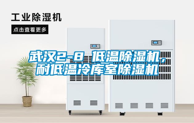 武漢2-8℃低溫除濕機，耐低溫冷庫室除濕機