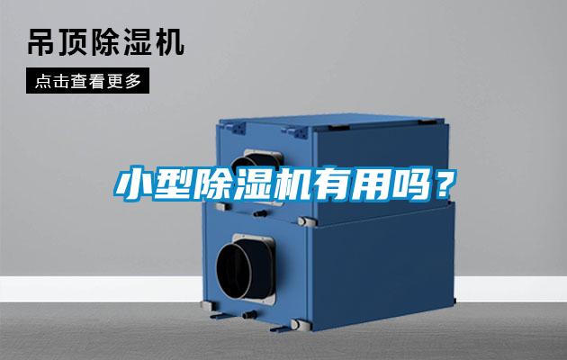 小型除濕機有用嗎？