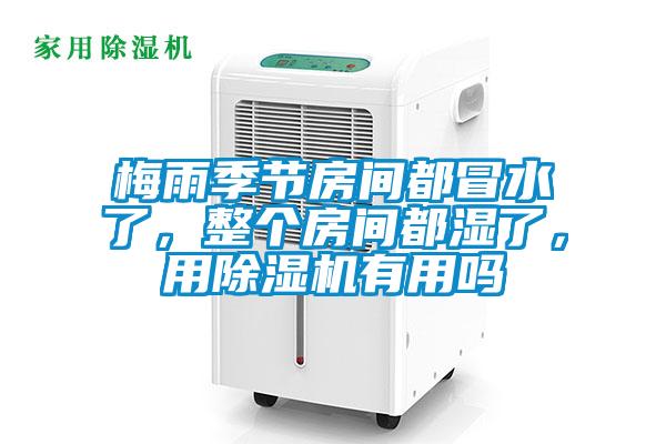 梅雨季節(jié)房間都冒水了，整個(gè)房間都濕了，用除濕機(jī)有用嗎