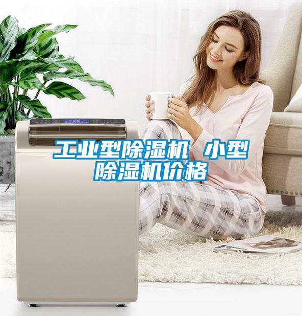 工業(yè)型除濕機(jī) 小型除濕機(jī)價格