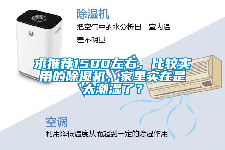 求推薦1500左右，比較實用的除濕機(jī)，家里實在是太潮濕了？