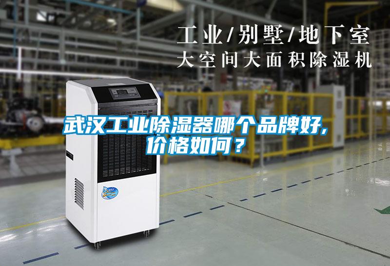 武漢工業(yè)除濕器哪個品牌好,價格如何？