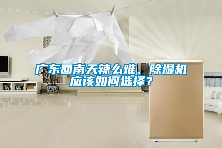廣東回南天辣么難，除濕機(jī)應(yīng)該如何選擇？