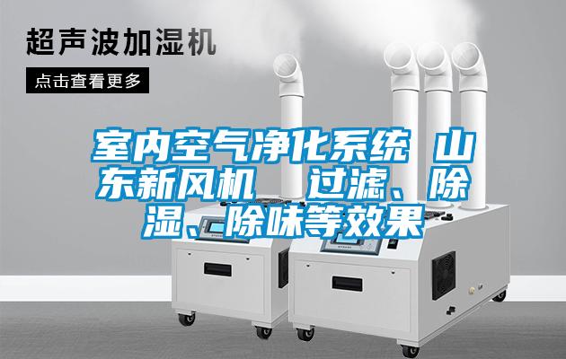 室內(nèi)空氣凈化系統(tǒng) 山東新風(fēng)機  過濾、除濕、除味等效果