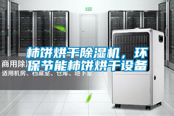 柿餅烘干除濕機，環(huán)保節(jié)能柿餅烘干設備