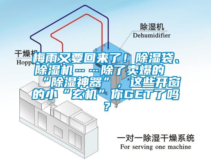梅雨又要回來了！除濕袋、除濕機……除了賣爆的“除濕神器”，這些開窗的小“玄機”你GET了嗎？