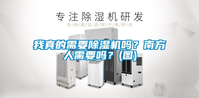 我真的需要除濕機嗎？南方人需要嗎？(圖)