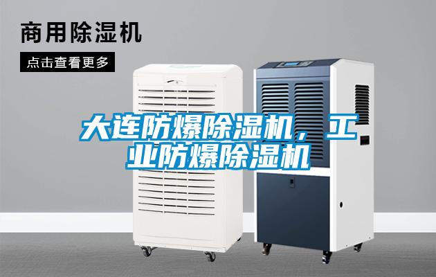 大連防爆除濕機(jī)，工業(yè)防爆除濕機(jī)