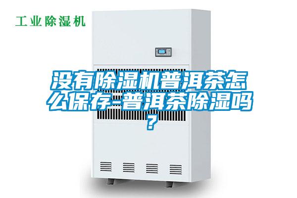 沒(méi)有除濕機(jī)普洱茶怎么保存-普洱茶除濕嗎？