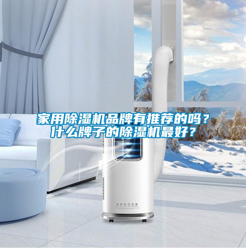 家用除濕機(jī)品牌有推薦的嗎？什么牌子的除濕機(jī)最好？