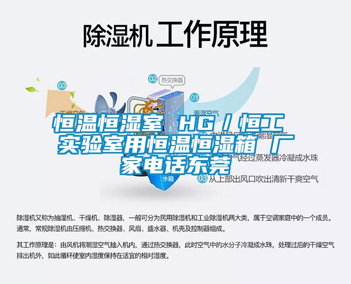 恒溫恒濕室 HG／恒工 實(shí)驗(yàn)室用恒溫恒濕箱 廠家電話(huà)東莞