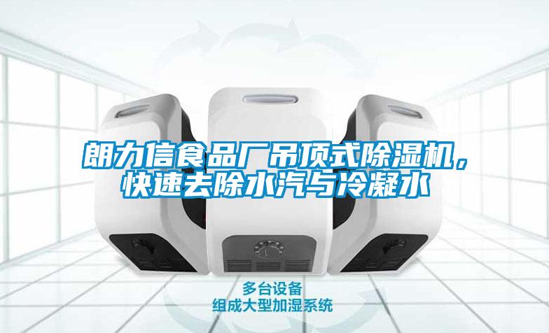 朗力信食品廠吊頂式除濕機，快速去除水汽與冷凝水