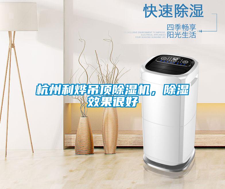 杭州利燁吊頂除濕機，除濕效果很好
