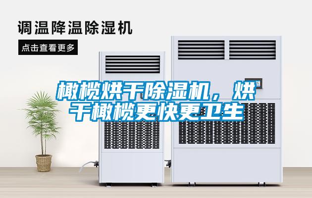橄欖烘干除濕機，烘干橄欖更快更衛(wèi)生