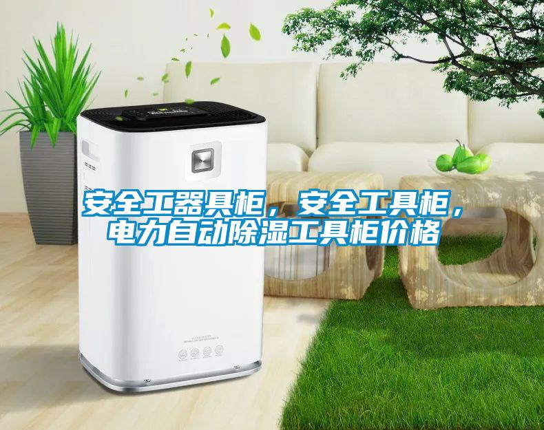 安全工器具柜，安全工具柜，電力自動除濕工具柜價格