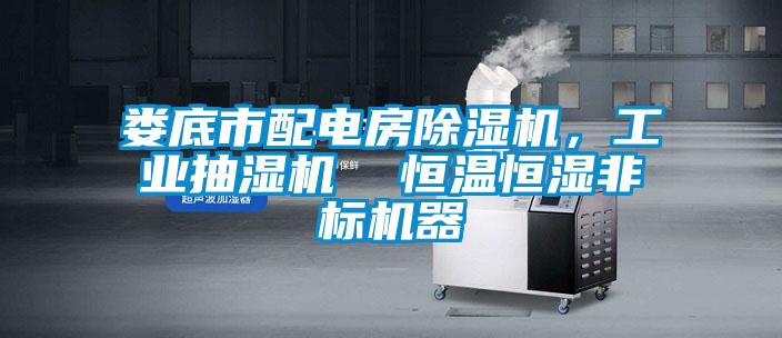 婁底市配電房除濕機(jī)，工業(yè)抽濕機(jī)  恒溫恒濕非標(biāo)機(jī)器