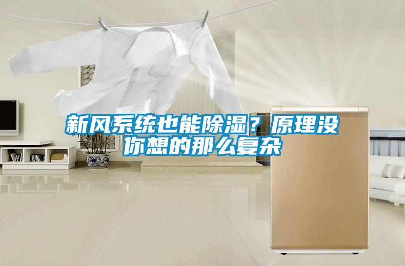 新風系統(tǒng)也能除濕？原理沒你想的那么復雜