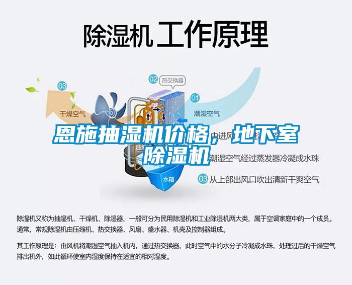 恩施抽濕機價格，地下室除濕機