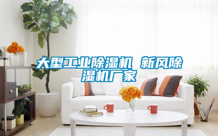 大型工業(yè)除濕機 新風(fēng)除濕機廠家