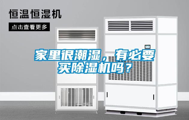 家里很潮濕，有必要買除濕機嗎？