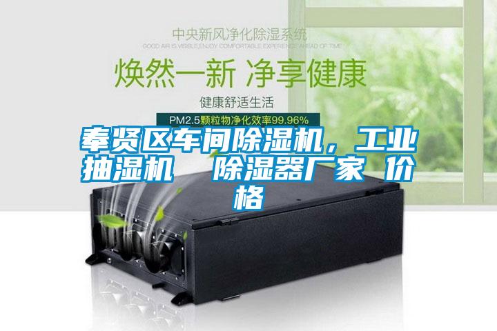 奉賢區(qū)車間除濕機，工業(yè)抽濕機  除濕器廠家 價格