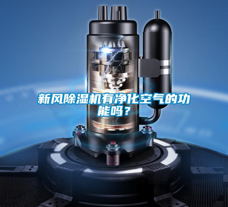 新風(fēng)除濕機(jī)有凈化空氣的功能嗎？