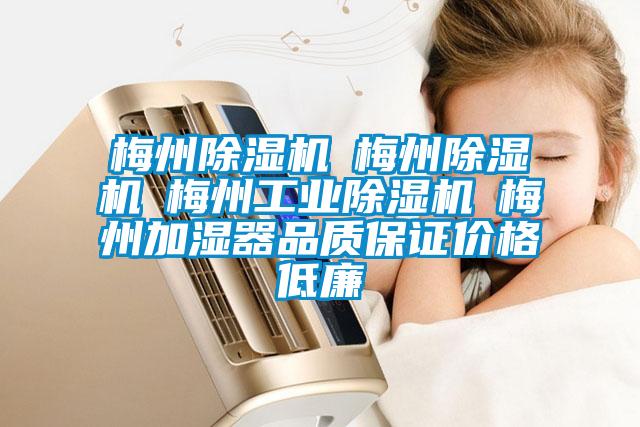 梅州除濕機(jī)☆梅州除濕機(jī)☆梅州工業(yè)除濕機(jī)☆梅州加濕器品質(zhì)保證價(jià)格低廉