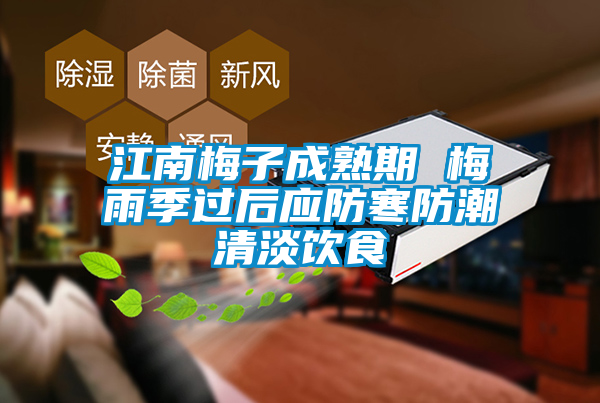江南梅子成熟期 梅雨季過后應(yīng)防寒防潮清淡飲食