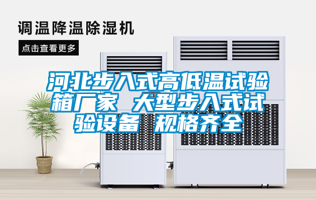 河北步入式高低溫試驗(yàn)箱廠家 大型步入式試驗(yàn)設(shè)備 規(guī)格齊全