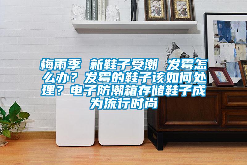 梅雨季 新鞋子受潮 發(fā)霉怎么辦？發(fā)霉的鞋子該如何處理？電子防潮箱存儲(chǔ)鞋子成為流行時(shí)尚