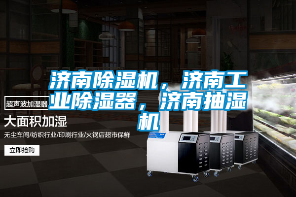 濟南除濕機，濟南工業(yè)除濕器，濟南抽濕機