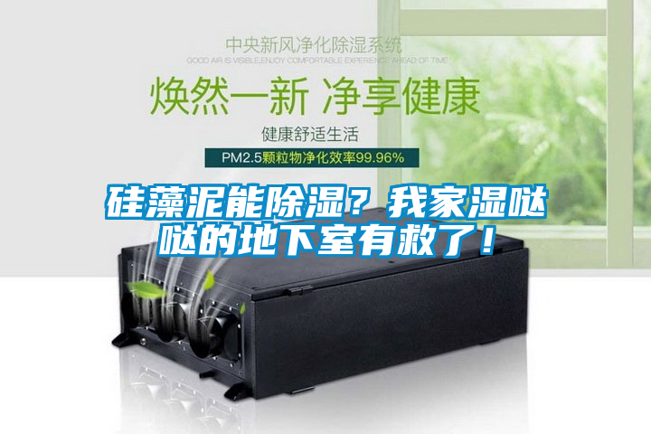 硅藻泥能除濕？我家濕噠噠的地下室有救了！