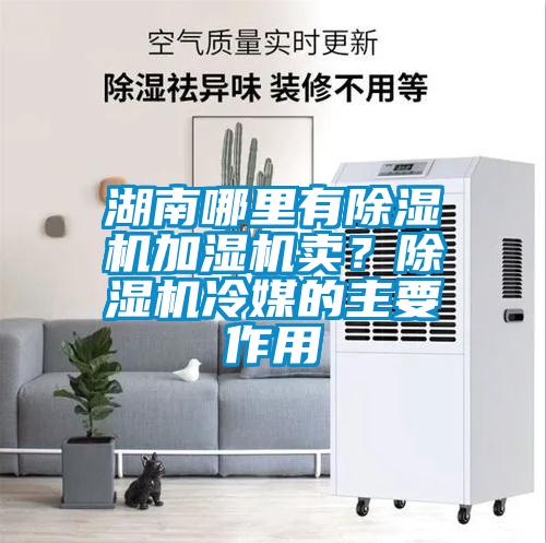 湖南哪里有除濕機加濕機賣？除濕機冷媒的主要作用