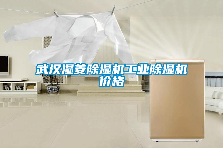 武漢濕菱除濕機工業(yè)除濕機價格