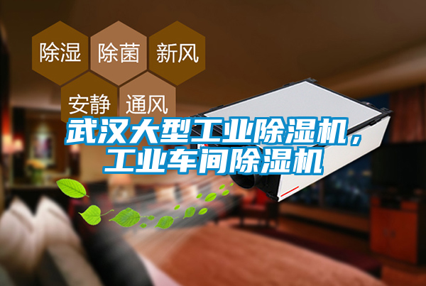 武漢大型工業(yè)除濕機(jī)，工業(yè)車間除濕機(jī)