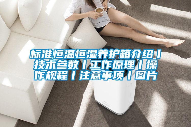 標準恒溫恒濕養(yǎng)護箱介紹丨技術參數丨工作原理丨操作規(guī)程丨注意事項丨圖片