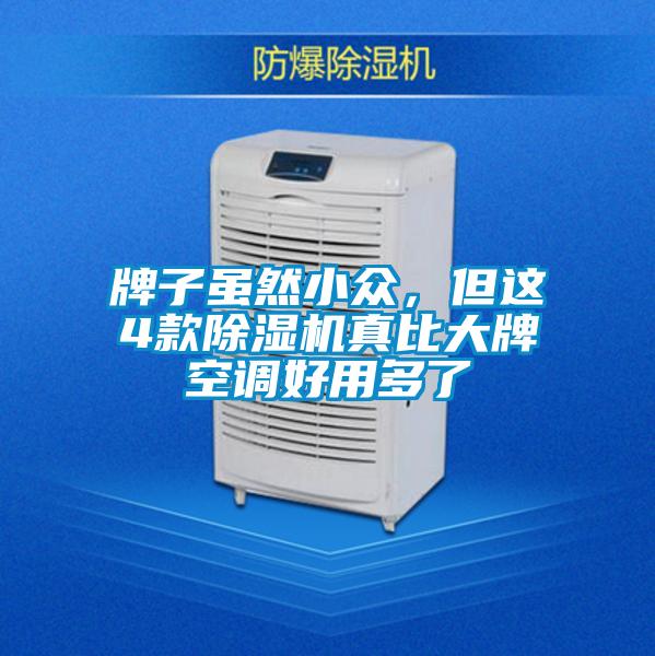 牌子雖然小眾，但這4款除濕機(jī)真比大牌空調(diào)好用多了