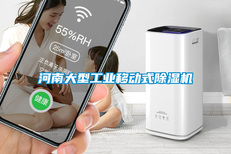 河南大型工業(yè)移動(dòng)式除濕機(jī)