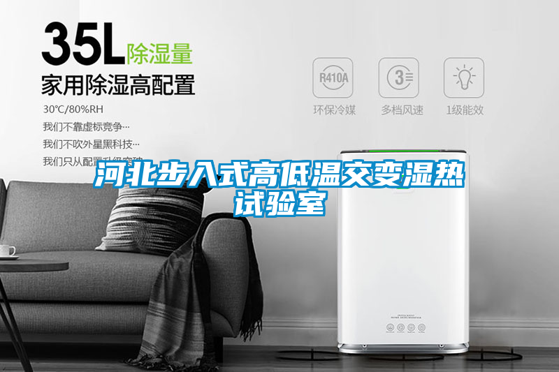 河北步入式高低溫交變濕熱試驗(yàn)室