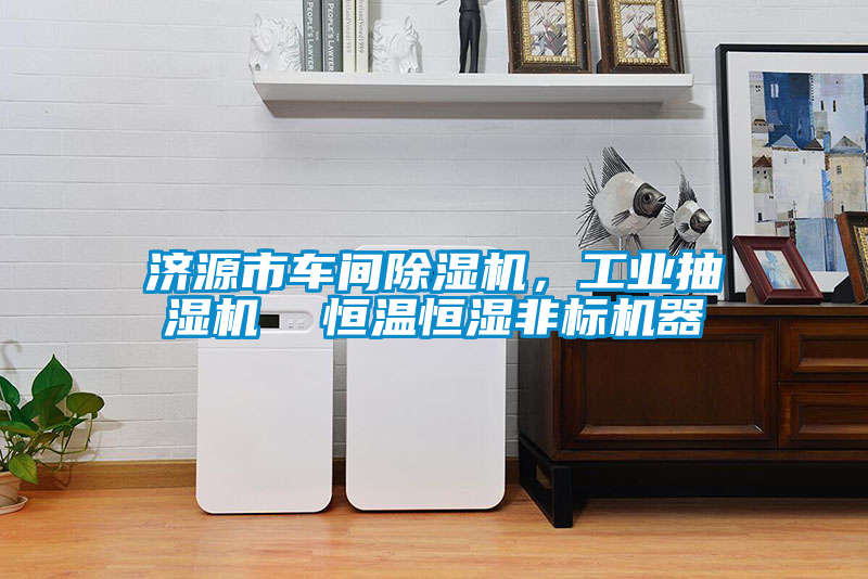 濟(jì)源市車間除濕機(jī)，工業(yè)抽濕機(jī)  恒溫恒濕非標(biāo)機(jī)器
