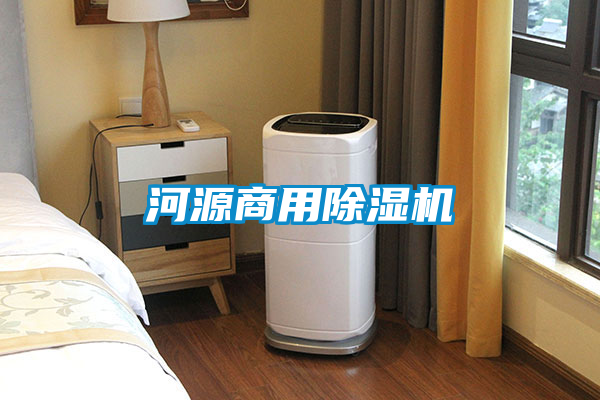 河源商用除濕機
