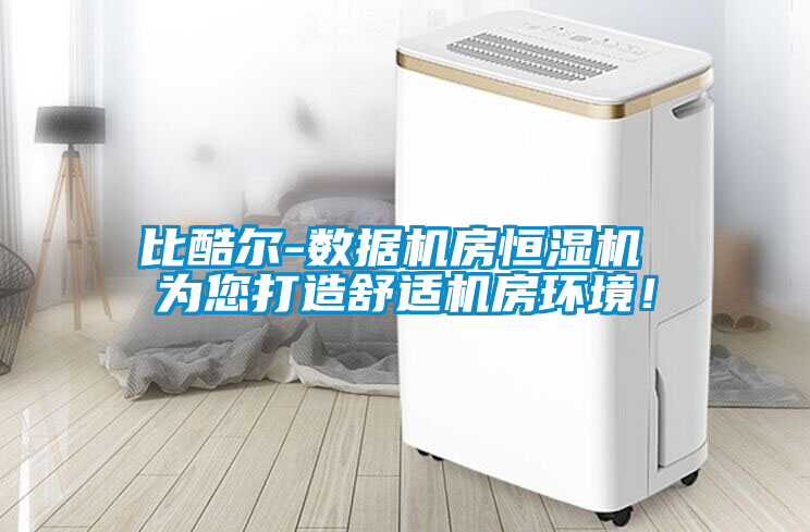 比酷爾-數(shù)據(jù)機房恒濕機 為您打造舒適機房環(huán)境！