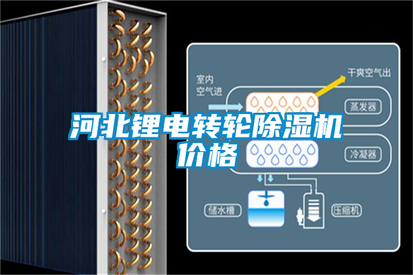 河北鋰電轉(zhuǎn)輪除濕機(jī)價(jià)格