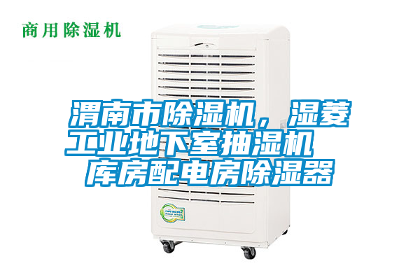 渭南市除濕機(jī)，濕菱工業(yè)地下室抽濕機(jī)  庫(kù)房配電房除濕器