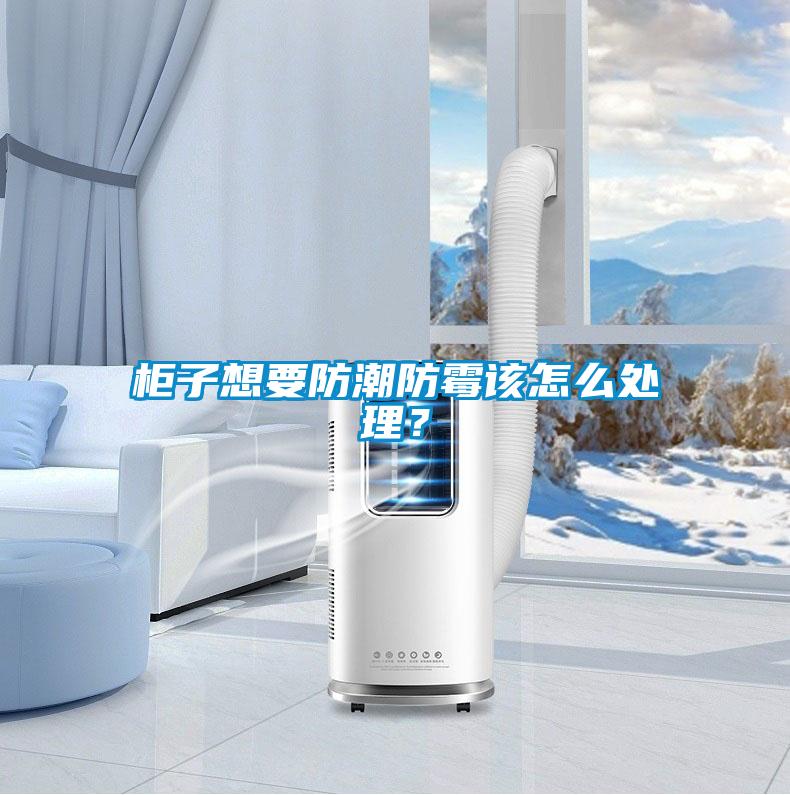 柜子想要防潮防霉該怎么處理？
