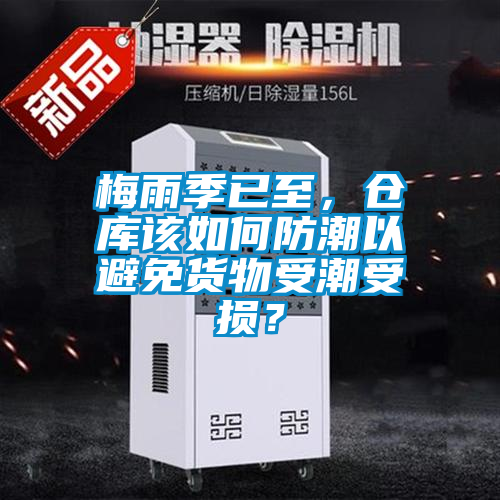 梅雨季已至，倉庫該如何防潮以避免貨物受潮受損？